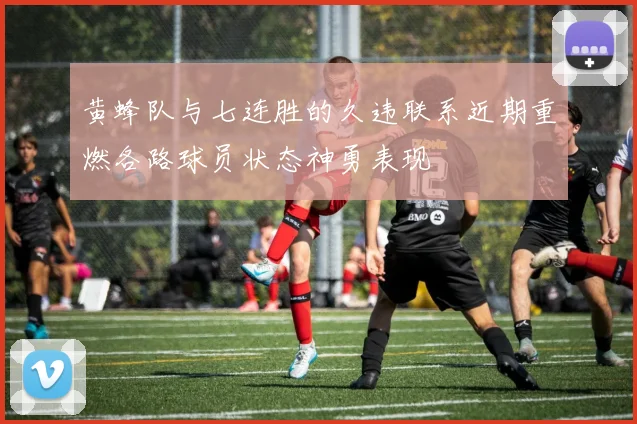 黄蜂队与七连胜的久违联系近期重燃各路球员状态神勇表现