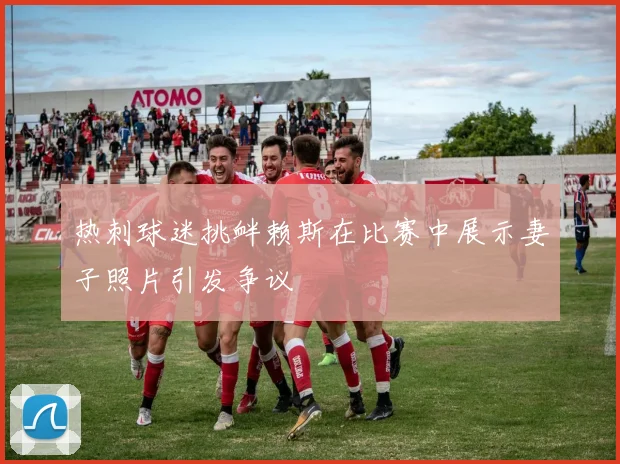 热刺球迷挑衅赖斯在比赛中展示妻子照片引发争议