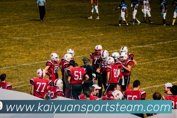 开元体育平台生态图